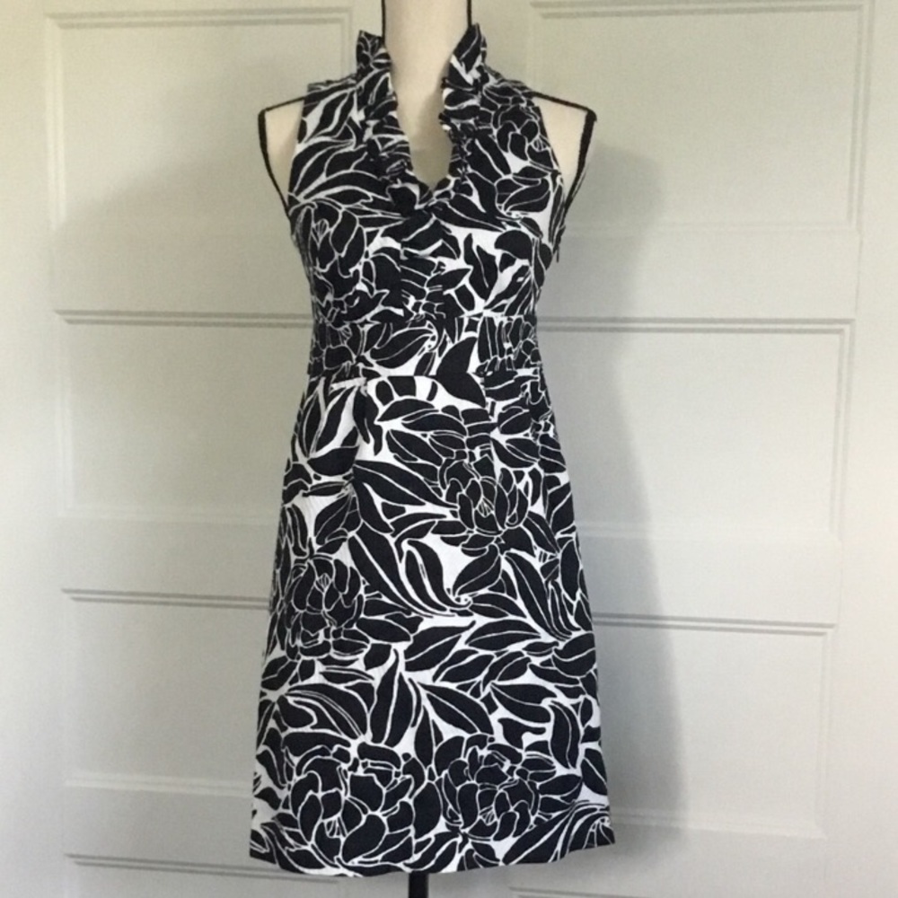 Ann Taylor Black and White Ruffle Collar Dress 4